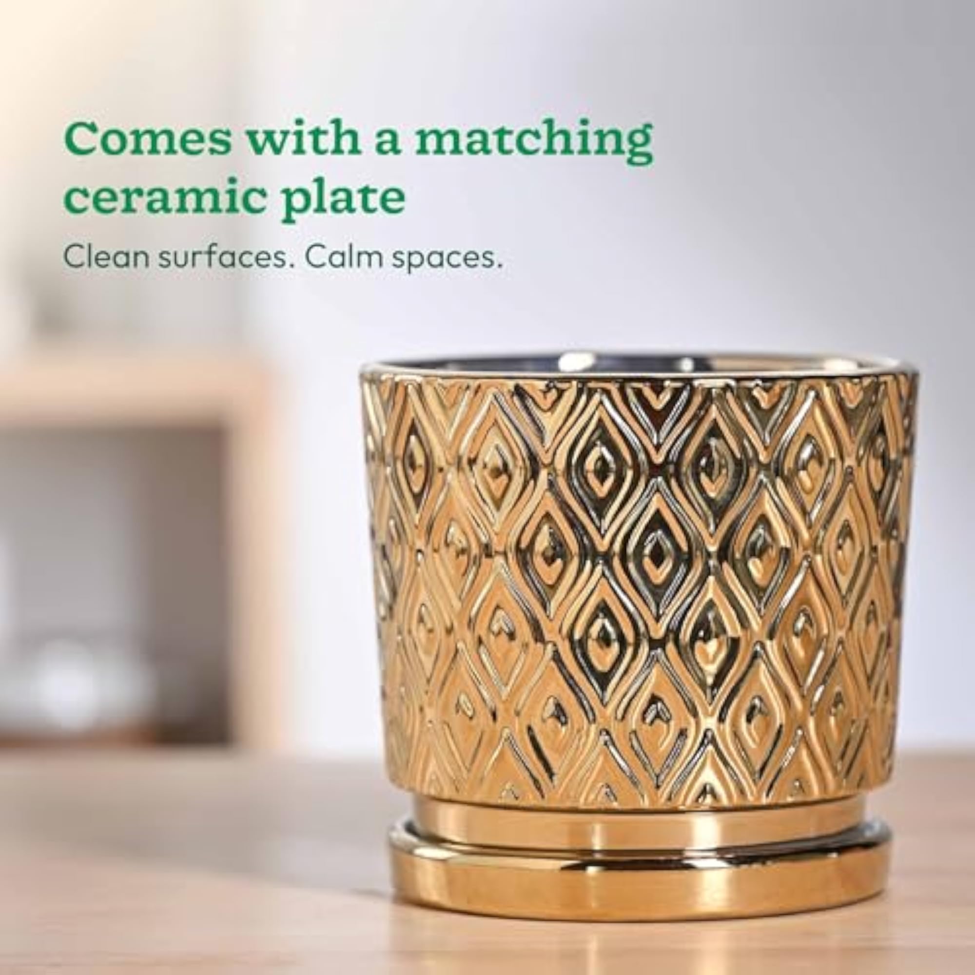 Peacock Ceramic Pot - 5 Inch, Indoor Flower Pot