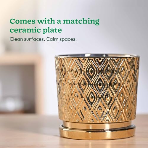 Image of UGAOO Peacock Ceramic Pot - 5 Inch | Indoor Ceramic Plant Pot | Flower Pot for Living Room | Small planters for Indoor Plants (Gold)