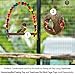 SunGrow Colorful Parakeet Swing Toy with Bells, Cockatiel, Lovebird & Budgie Wooden Perch Stand, 8.5x6 Inches, Sturdy Rocking Gym, Small Bird Cage Accessories to Balance, Exercise & Training