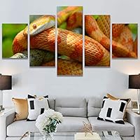 SIGNWIN 5 Panel Canvas Wall Art Modern Art Chic Expressive Frog Multicolor Photography Reptiles Snakes for Home Decorations Ready to Hang - 60