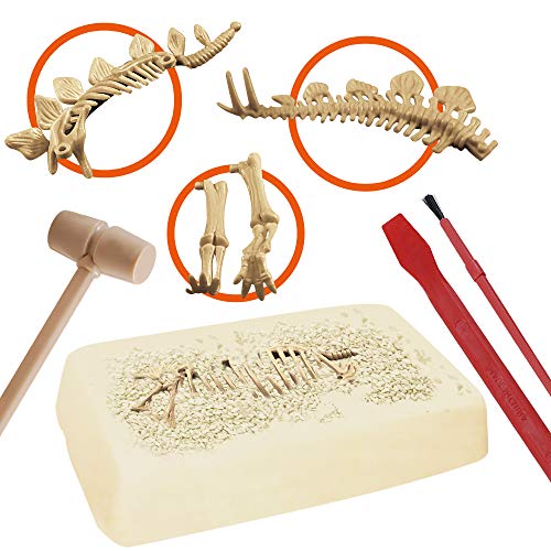 EXPLORA - Stegosaurio - Kit Di Paleontologo - 039397 - Gesso Per Scavare - Dinosauri - Kit di Scoperta - Gioco Per Bambini - Scientifico - Educativo - Avventura - Ludico - A Partire da 5 anni