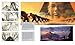 The Art of DreamWorks Animation