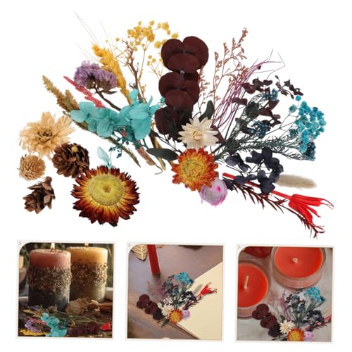 Kit mini flores secas delicadas para manualidades miniatura 3
