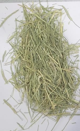 Jimmy-Pet-Products-Timothy-Hay-for-Rabbit-hay-Guinea-Pig-Hamster-12-kg