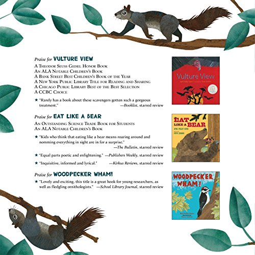 Squirrels Leap, Squirrels Sleep - Image 2