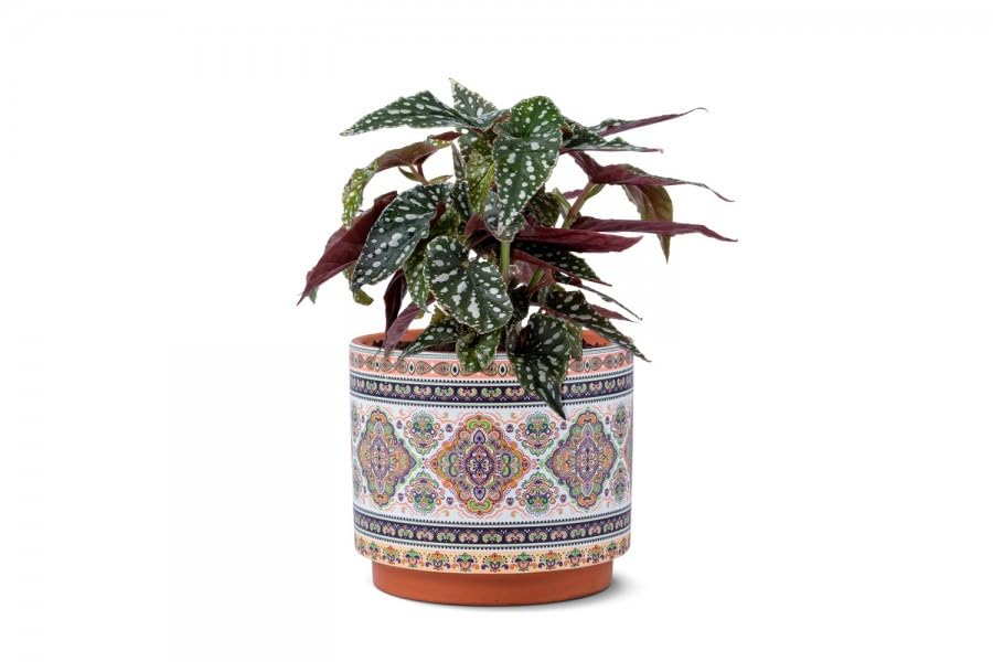 SGC Indoor & Outdoor Flower Pots Home Garden Modern Décor Oriental style ceramic Brown White Color 13.6x13.6x12 Cm