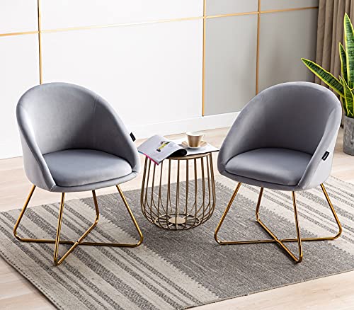 Artechworks Modern Velvet Dinning Chair With Golden Legs, Lounge Chair Set Of 2, Accent Armchair For Living Dining Room Bedroom Reception Chair, Grey #TOP1