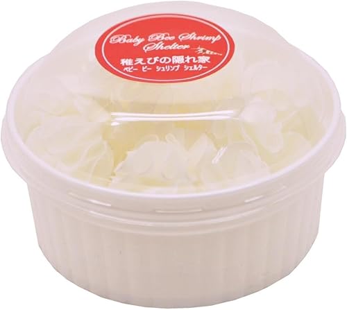 稚エビの隠れ家