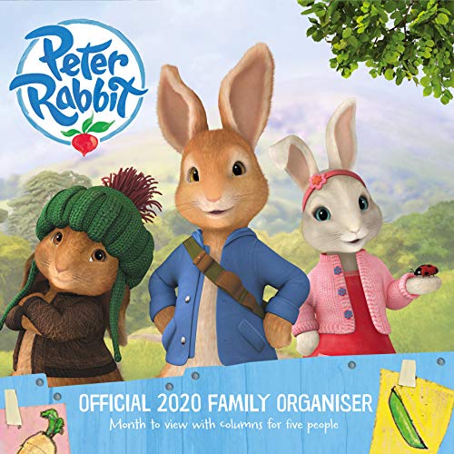 Télécharger Peter Rabbit 2020 Family Organiser Calendar - Official Square Wall Format Calendar PDF