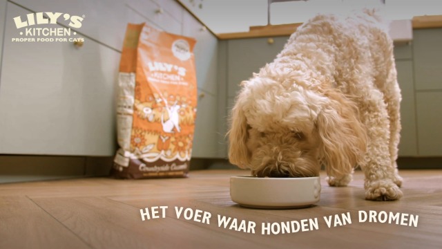 LILY'S KITCHEN Graanvrij Droogvoer Kip & Eend LILY'S KITCHEN Graanvrij Droogvoer Kip & Eend