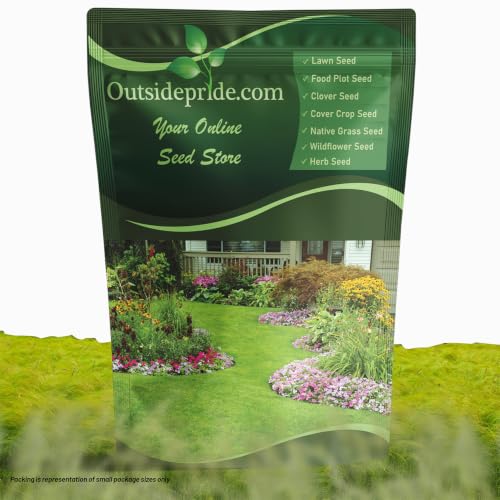 Outsidepride Teff Grass Seed - 10 lb. Annual, Hardy &