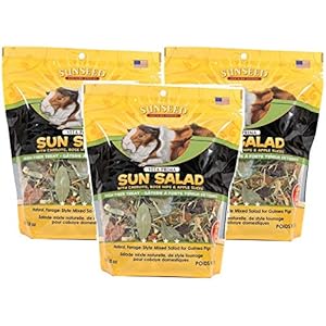 Sun Seed Vitakraft Vita Prima Sun Salad Treat for Guinea Pigs (Pack of 3)