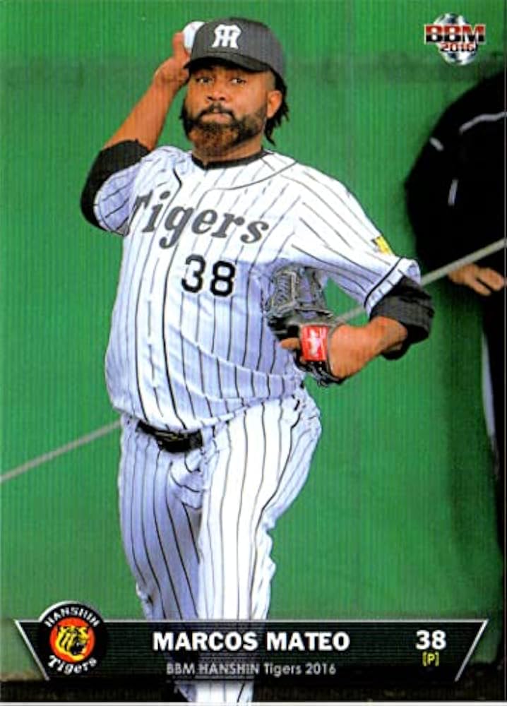 セブンイレブン 阪神タイガース 2016年 オリジナルnanacoカード セブンイレブン 阪神タイガース オリジナルnanacoカード - メルカリ