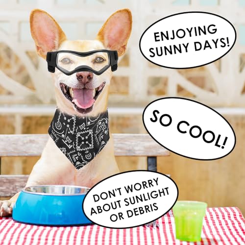 Hundebrille für Kleine Hunde, Wasserdicht Hundeschutzbrille mit Hundehalstuch, Verstellbare, UV-beständige, windabweisende Schutzbrille, Motorradbrille für Kleine Mittelgroße Hunde