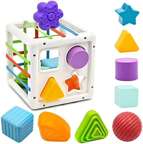 AiTuiTui Baby Montessori Toys for 1 Year Old Boy Girl Gifts, Shape Sorter Sensory Bin 6 12 18 Months Toys, Toddler Travel Fine Motor Skill Activity Learning Toys for Baby 1st Birthday