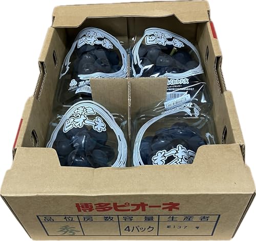 福岡県産 博多ピオーネ ぶどう 種無葡萄 2パック(2房入) 0.6kg ギフト箱無 ブトウのサムネイル