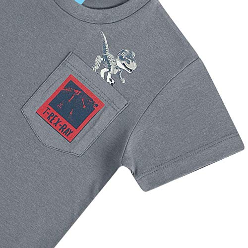 Camiseta Meia Malha Menino TRex Lunar 1