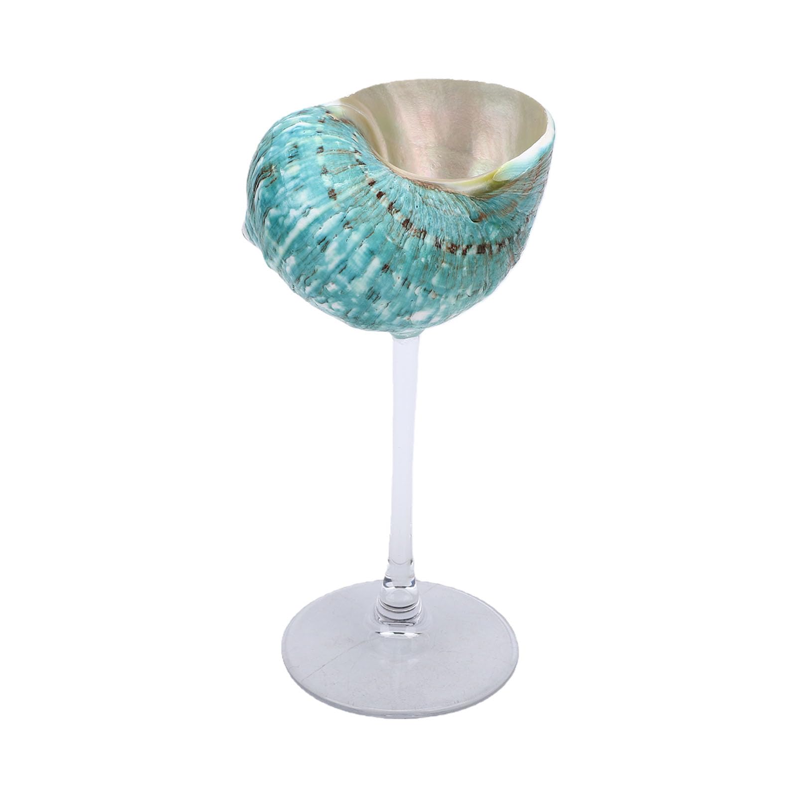 Copa de vino de concha marina Srliya, el regalo de boda perfecto