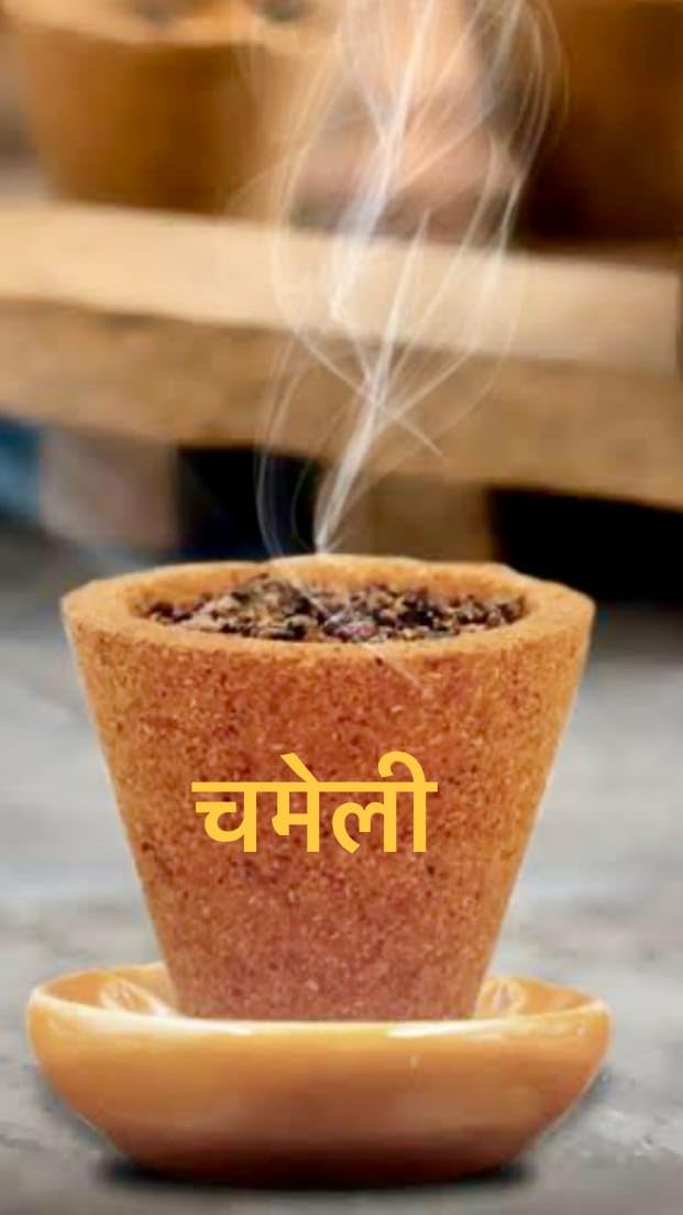 Lsv Premium dhoop Cup Set Chameli Fragrances-picture-19