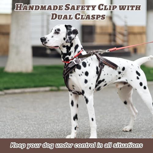 KFHENSOMR 2Stück Halti für Große Hunde Hundehalsband Clips, Halsbänder und Leinenverbinder Handgefertigter Backup-Sicherheitsgurt für Hundegeschirr Halsband Spaziergang und Wandern (Schwarz)