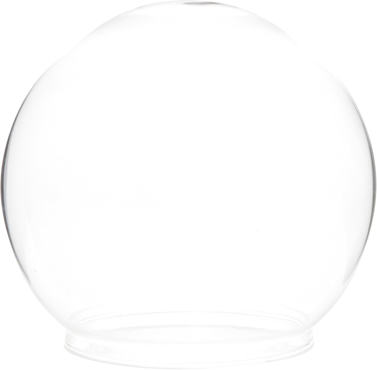 Plymor 5" x 6" Glass Display Dome Globe Cloche (Oak Veneer Base)