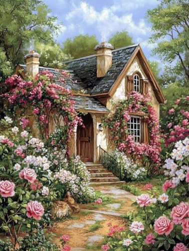 Paint by numbers kits adulte avec peinture acrylique et toile de 40x50