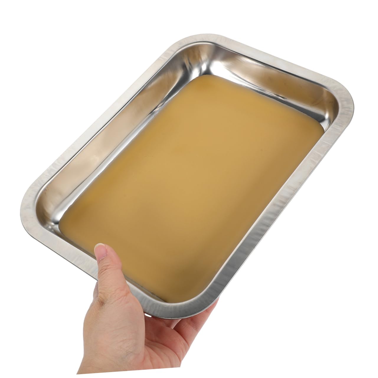 Toyvian 2 Piastra Rivestita Cera per Esperimenti Biologici Strumento Didattico per Laboratori e Classi