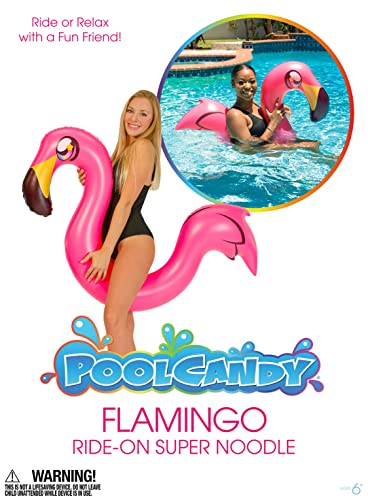 Inflatable Animal Swim Noodles (Flamingo) #TOP4