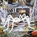 Photo Gallery izoel giant spider halloween decorazioni halloween ragno 2 m ragno bianco 7 m x 5.5 m grande ragnatela 30 mini ragni 40 g ragnatela - decorazioni casa/interni/esterni/casa stregata/giardino Photo Gallery izoel giant spider halloween decorazioni halloween ragno 2 m ragno bianco 7 m x 5.5 m grande ragnatela 30 mini ragni 40 g ragnatela - decorazioni casa/interni/esterni/casa stregata/giardino