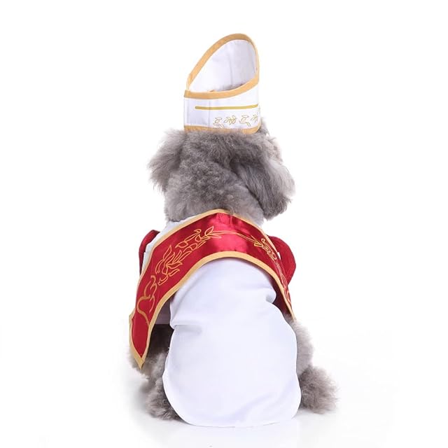 Foto 4 de 8 de Disfraz de cosplay de Halloween para mascotas, traje de cachorro de perro estilo Gran Papa