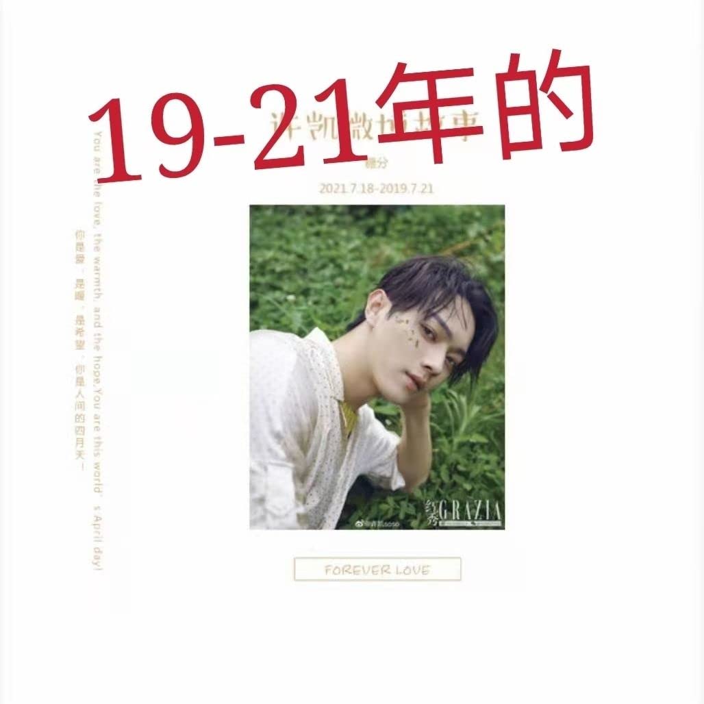 Amazon.co.jp: 璎珞 招摇シューカイ許凱徐凯ウェイボー微博 weibo（中国Twitter）語录写真集PB  (2019.7.21-2021.7.18) : おもちゃ