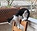 AnExer Cat Balcony Rail Net, 10 x 26 ft Cat Anti-Fall Netting Pet Balcony Mesh Fence Net Dog Fence Nets Black Nylon Pets Anti-Fall Mesh Fence