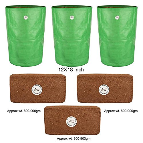 Poly Grow Bags (3 Pieces 12 x 18) with 1 Kg x 3 pcs Agropeat Premium
