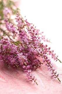 Heather Premium Fragrance Oil, 16 Oz. Bottle