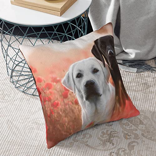 Housse de coussin labrador blanc velours côtelé carré canapé - 7