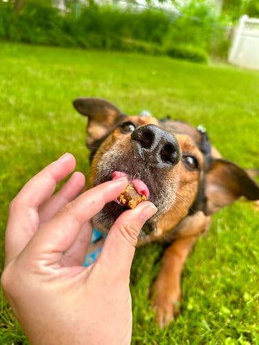 Image of ROAM Pet Treats Ossy Exotic Dog Topper - Single Protein, Sustainably Raised Ostrich Meat Dog Food Topper - Non-GMO Ostrich Dog Treat 4 Ounce
