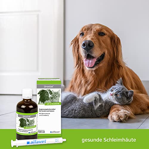 alfavet Urostat Ergänzungsfuttermittel zur Verringerung der Harnsteinbildung für Hund und Katze mit Brennnessel und Goldrute, 100ml, Dosierspritze