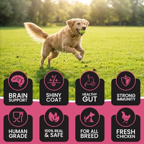 Image of Dr. Pets Pack of 2 (85g Each) Treetos Soft Dog Treats | Chicken Sticks with Strawberry Flavour for Puppies & Adult Dogs | Training Chew Snacks for All Breeds | Easy to Digest