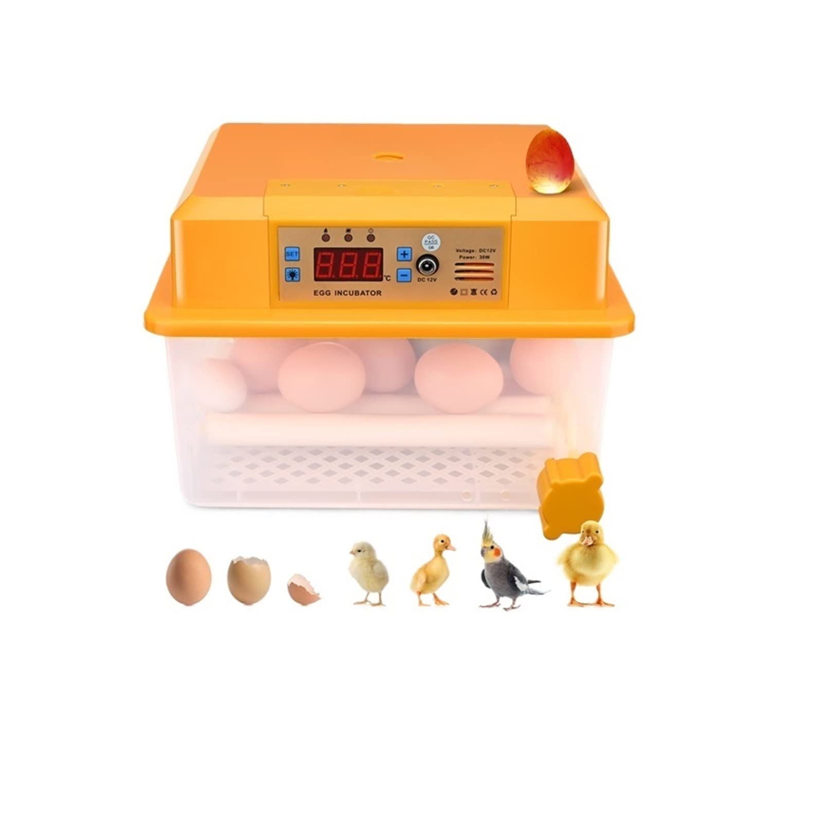 Incubateurs pour œufs à couver automatiques pour 16 œufs de poulet - 8