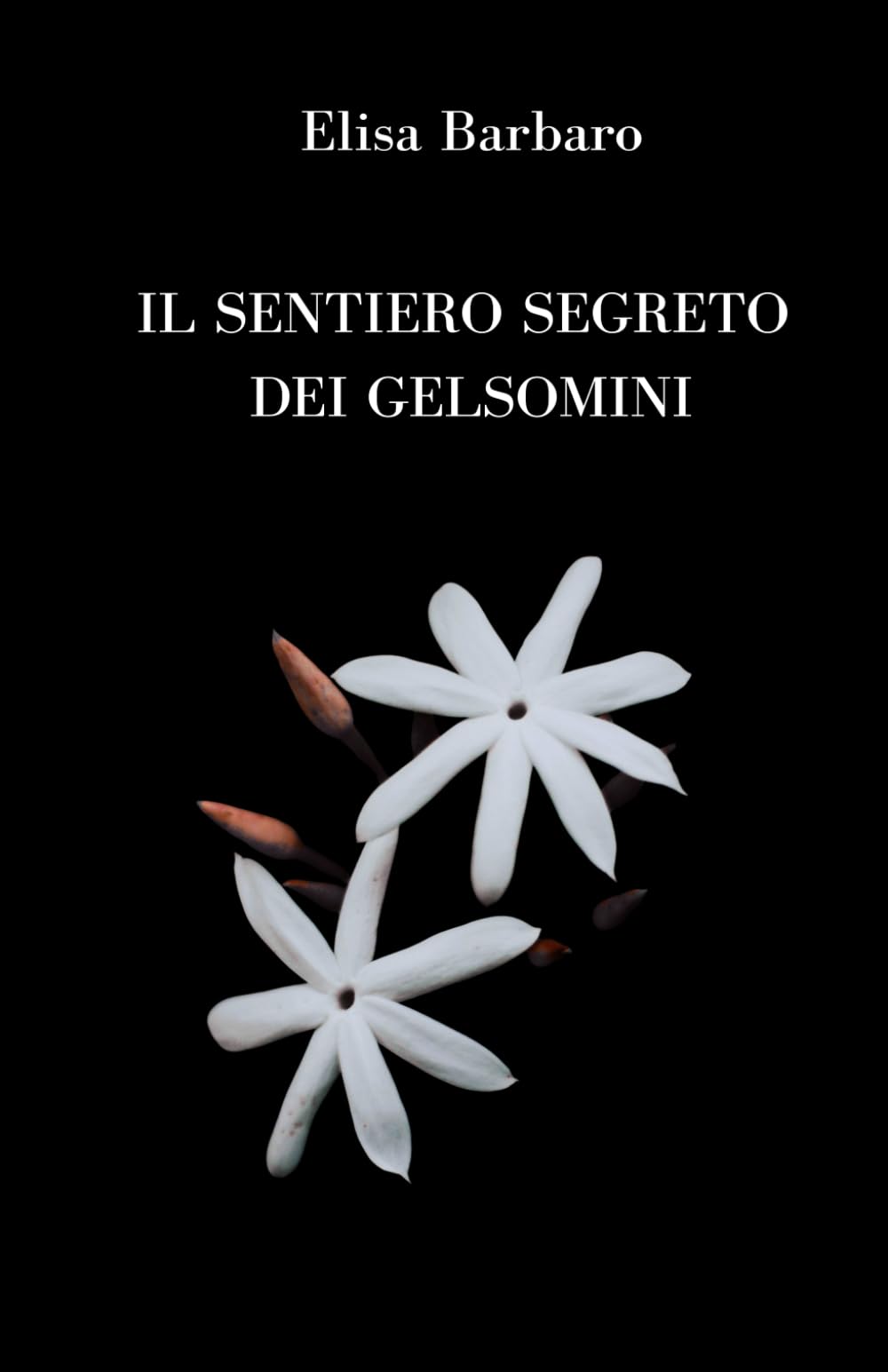 Il sentiero segreto dei gelsomini