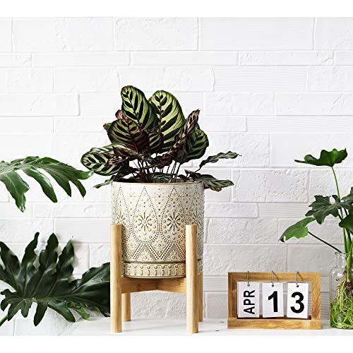 Yffsrjdj 8 Inch Plant Pot With Stand, Ceramic Planter With Drainage Holes, Saucers And Mesh Pads For Indoor-Outdoor Plants #TOP6