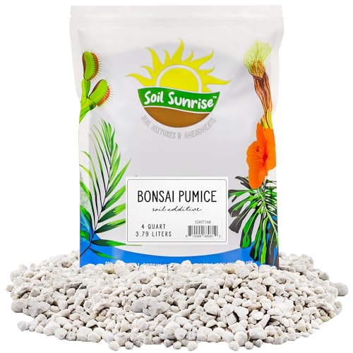 Soil Sunrise Horticultural Bonsai Pumice Soil Additive (4 Quarts) 7LB Ideal Substrate for Bonsai...