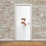 SMHCHA 3D Papier Peint Porte Voyeur Autoadhésif Autocollants De Porte PVC Imperméable Amovible Papier Peint Chambre Wallpaper 77X200Cm