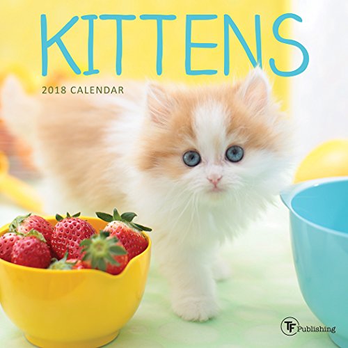 2018 Kittens Mini Calendar #TOP26