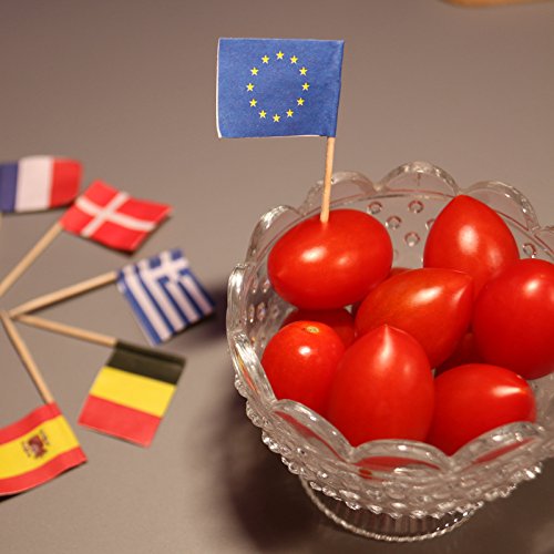 National Flag Picks Flag Toothpicks Cocktail Sticks Cupcake Toppers, Random Country, 100 Count #TOP7