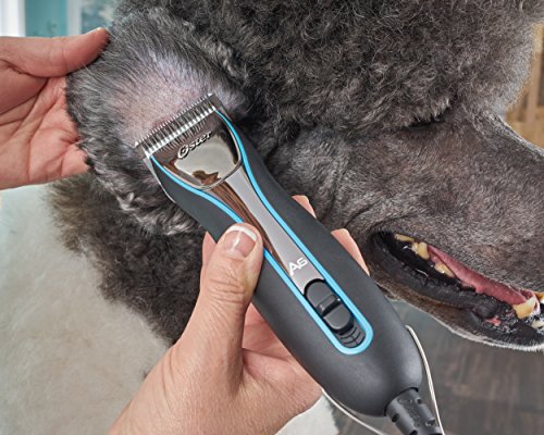 Oster A6 Cool Comfort Heavy Duty Pet Grooming Clippers with Detachable CryogenX #10 Blade, 3 Speed, Aqua Sky (078006-000-000),Black,1.75 x 1.88 x 6.90 inches Oster A6 Cool Comfort Heavy Duty Pet Grooming Clippers with Detachable CryogenX #10 Blade, 3 Speed, Aqua Sky (078006-000-000),Black,1.75 x 1.88 x 6.90 inches