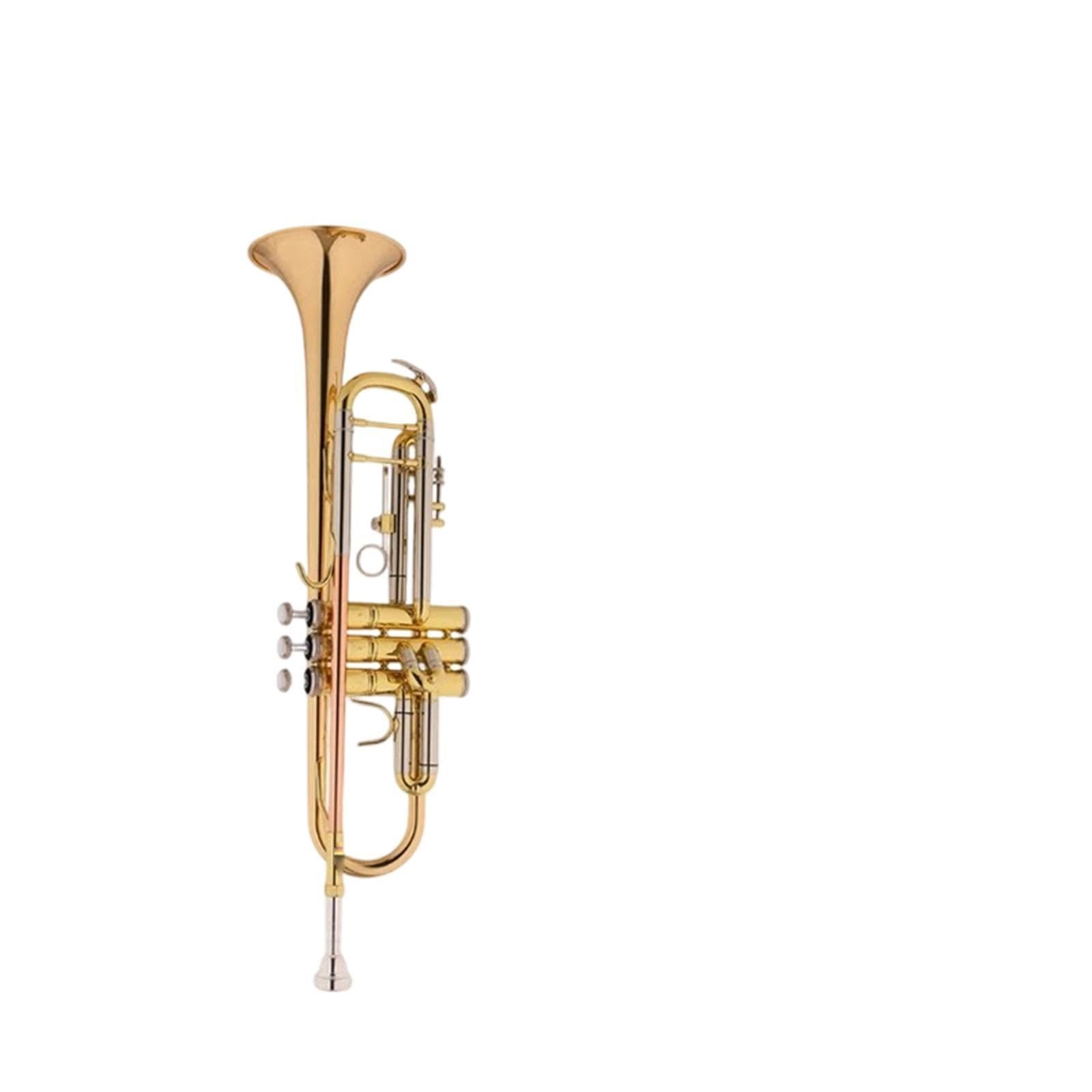 Trumpet Trompeta en si bemol de calidad profesional