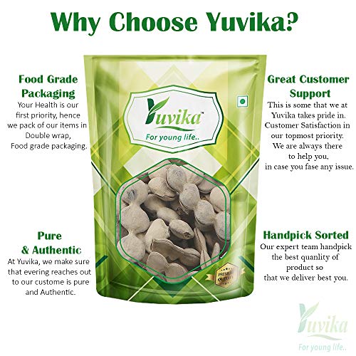 Image of YUVIKA Kikar Phali - Babool Phali - Acacia Nolotica 200 Grams