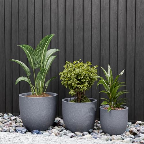 Image of YUCCABE ITALIA FOXB PCUP 17,15,12 Inch Pack of 3,Pots for Plants Highly Durable Polymers Lightweight Indoor OutdoorFlower Pot Gamla Tree Planter Container for Living Room,Balcony,Garden,Grey