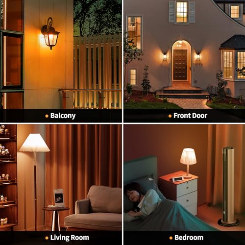 Orangelightbulbsforoutdoorporch9w60wequivalente26baseledorangebulbforhalloweenchristmasweddingpartybarholidaylightinghomedecor2pack  Urban Country Home Decor Orange light bulbs for outdoor porch 9w60w equivalent e26 base led orange bulb for halloween christmas weddingpartybarholiday lightinghome decor 2 pack  urban country home decor